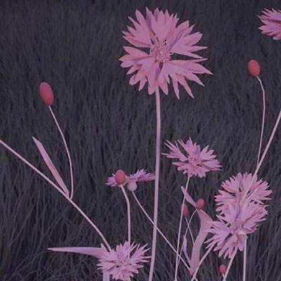 BOB半岛·中国官方网站入口