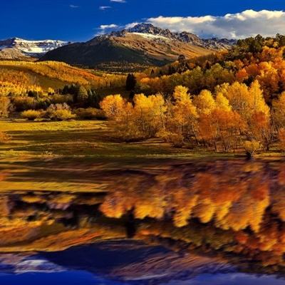 博鱼·体育中国入口下载手机版