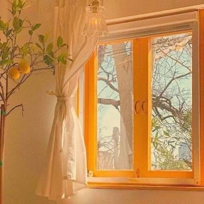 大小单双正规平台下载